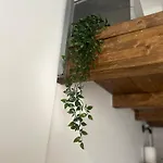 Loft - Con Idromassaggio Apartment *